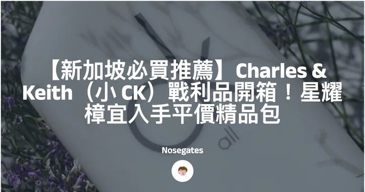 【新加坡必買推薦】Charles & Keith（小 CK）戰利品開箱！星耀樟宜入手平價精品包封面圖