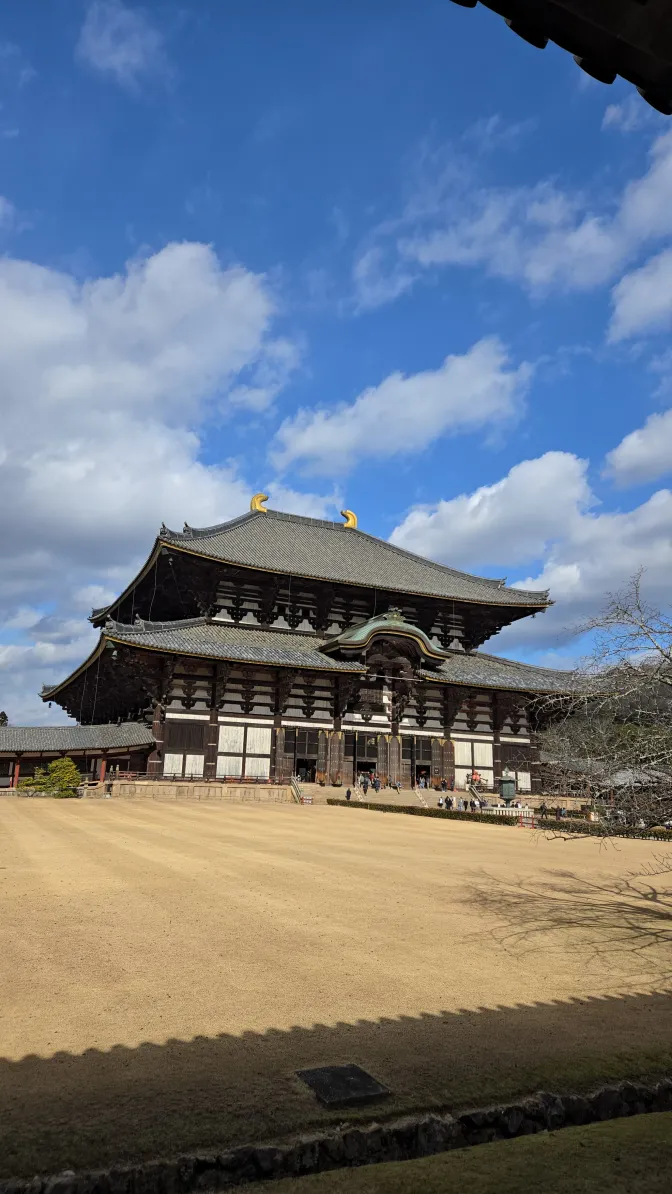 東大寺側面照